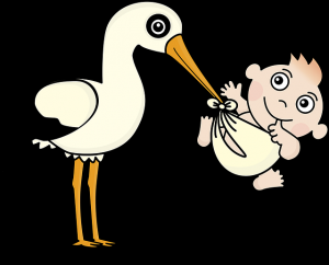 stork-1324371_640.png